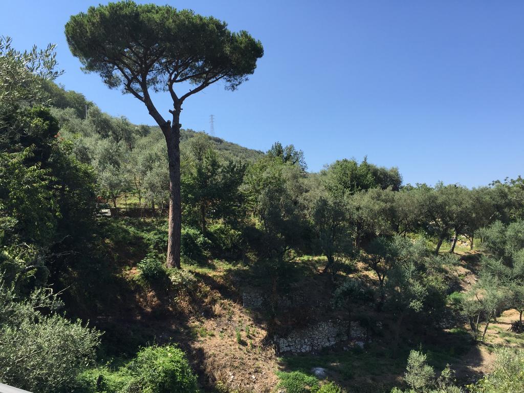 Il Casale Del Mirto Villa Vico Equense Luaran gambar